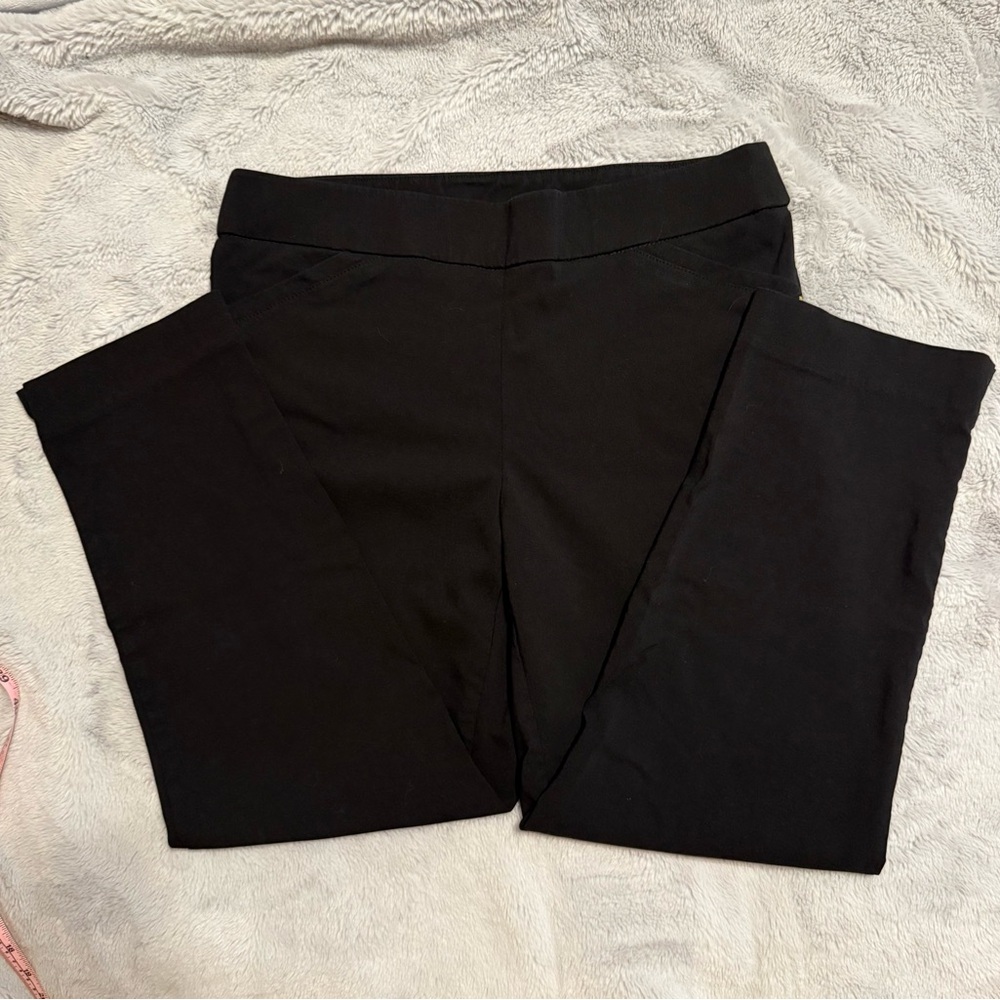 Briggs Petites pull on dress pants